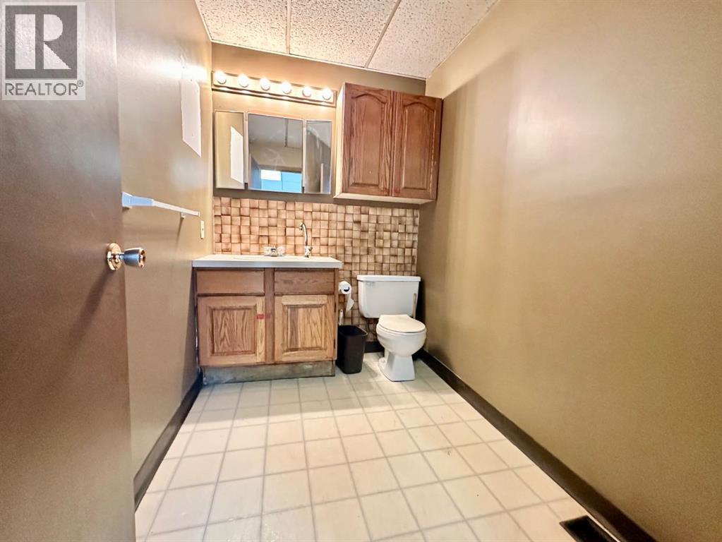 259 Aquaduct Drive, Brooks, Alberta  T1R 1E4 - Photo 5 - A2282715