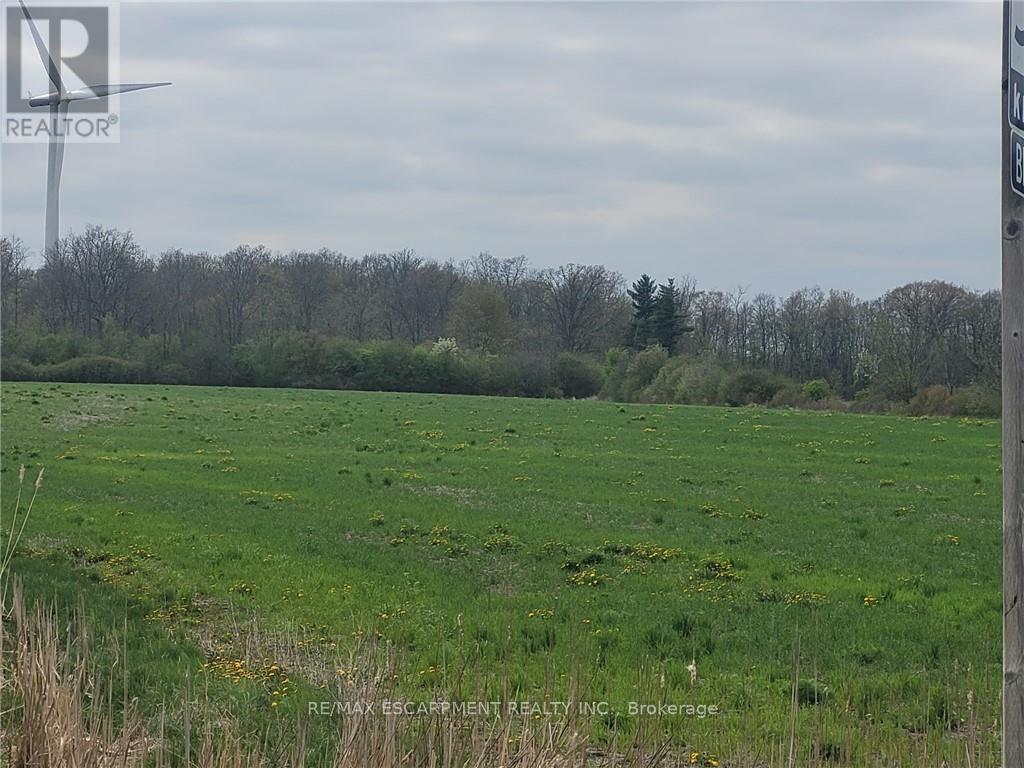 405 Concession 5 Road W, Haldimand, Ontario N0A 1G0 - Photo 1 - X12743154