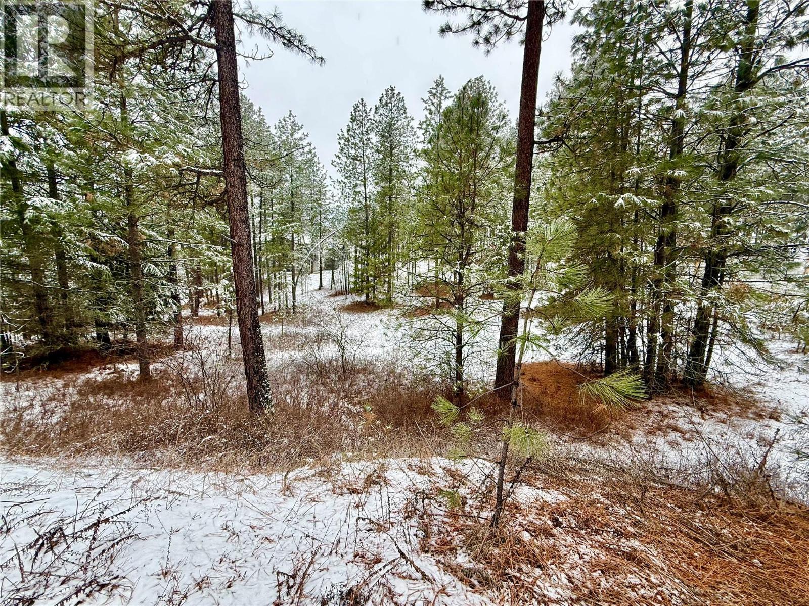 Lot 11 Prospect Drive, Grand Forks, British Columbia  V0H 1H2 - Photo 7 - 10374361