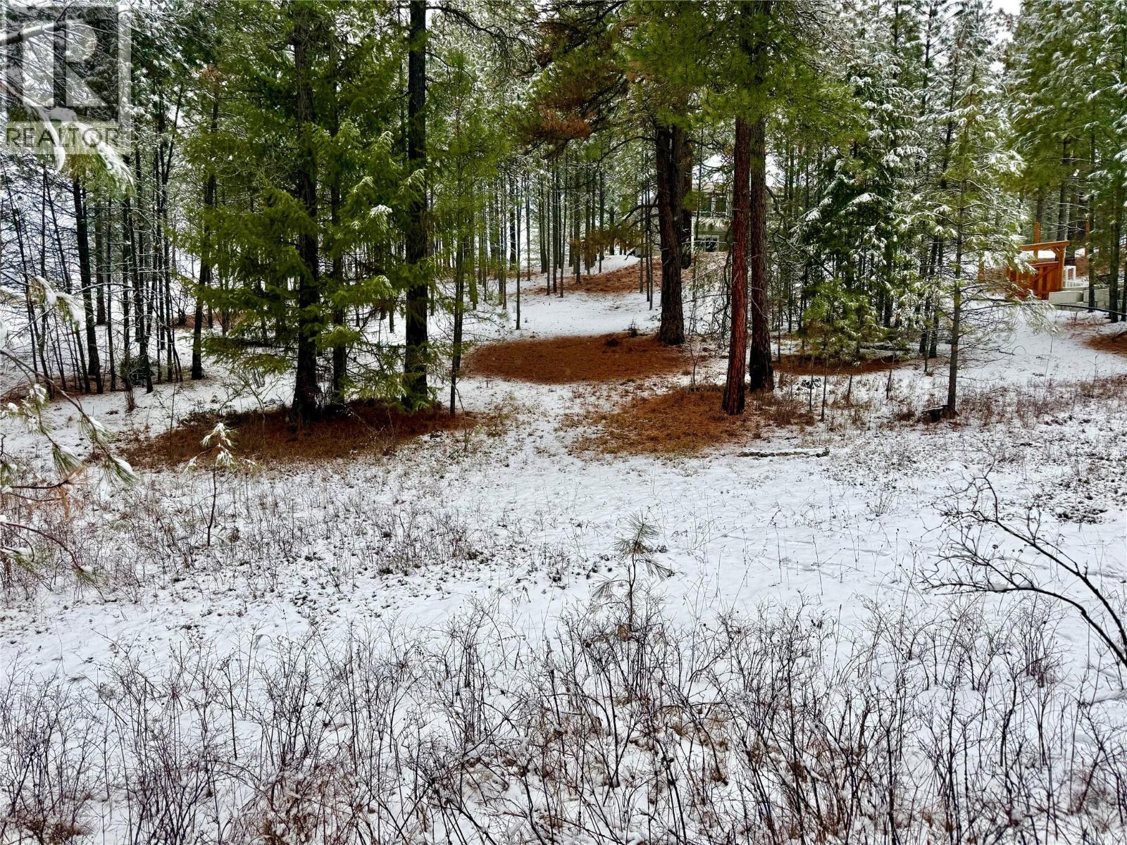 Lot 11 Prospect Drive, Grand Forks, British Columbia  V0H 1H2 - Photo 3 - 10374361