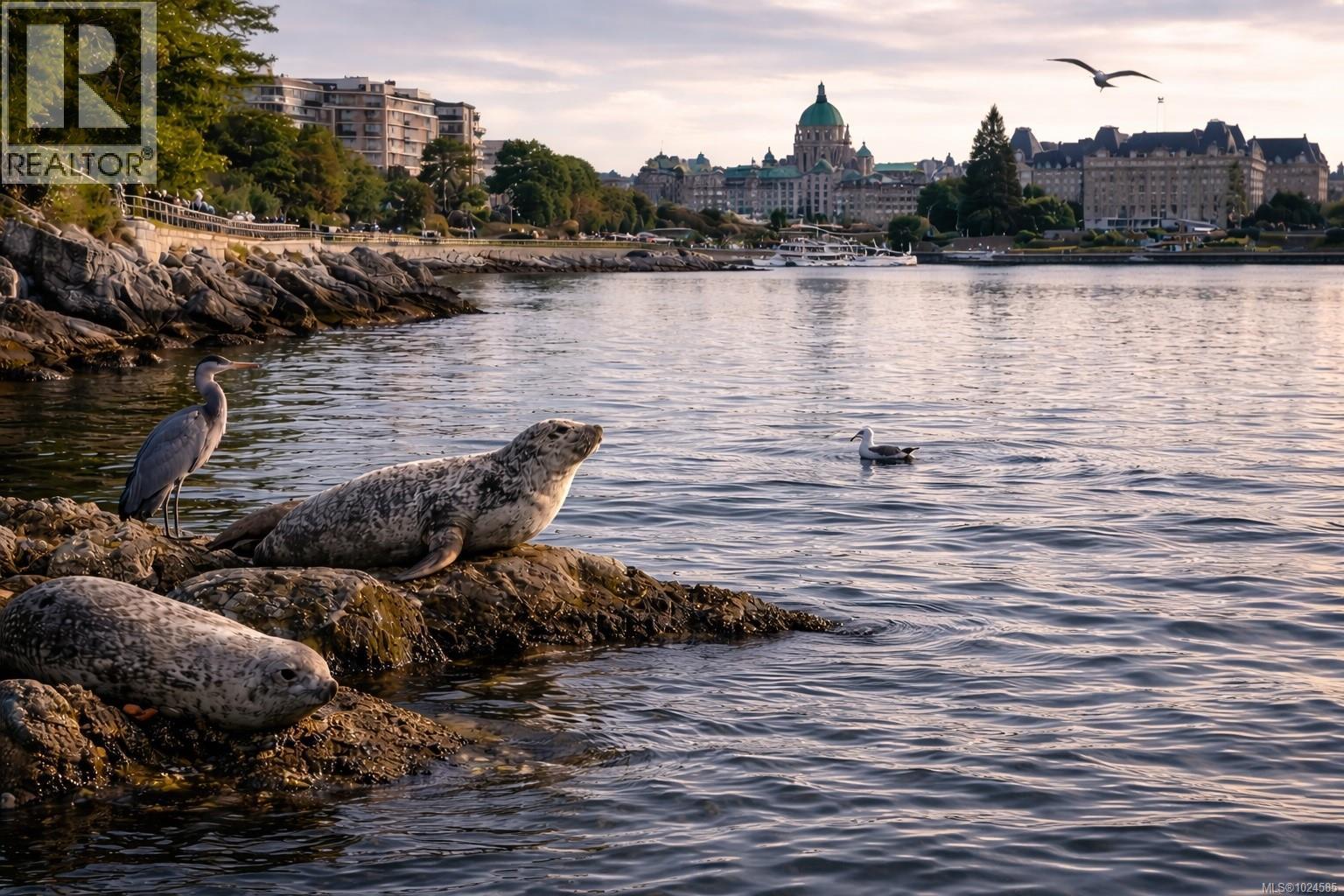 109 68 Songhees Rd, Victoria, British Columbia  V9A 0A3 - Photo 59 - 1024585