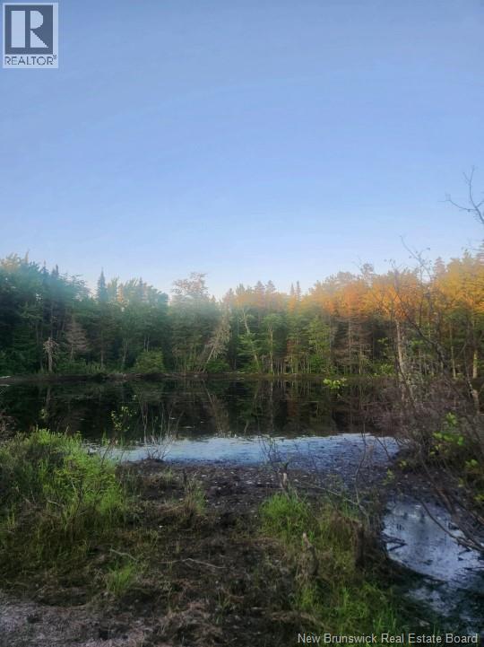 37.8 Hec Bettsburg Road, Bettsburg, New Brunswick  E9C 1L1 - Photo 1 - NB132948