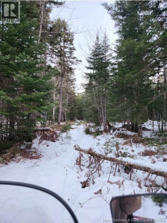 37.8 Hec Bettsburg Road, Bettsburg, New Brunswick  E9C 1L1 - Photo 10 - NB132948