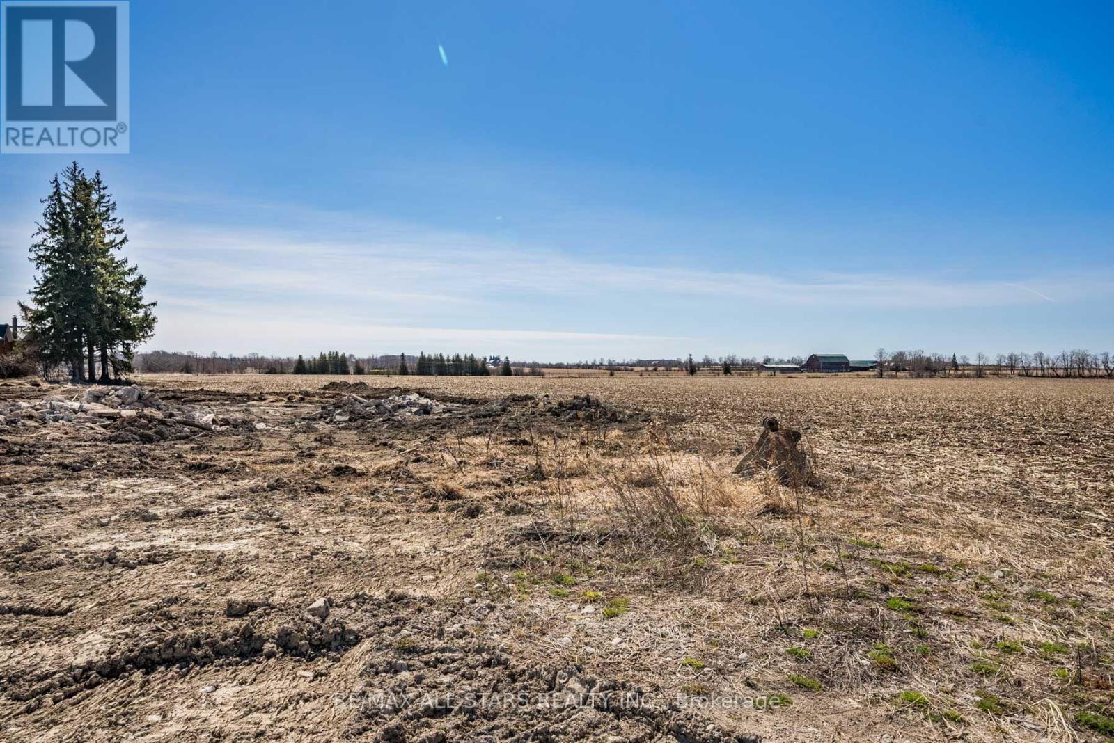 201 Royal Oak Road, Kawartha Lakes, Ontario  K0M 2J0 - Photo 6 - X12743488