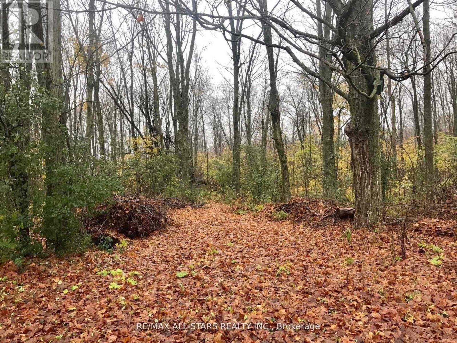 479 Eldon Road, Kawartha Lakes, Ontario  K0M 2M0 - Photo 6 - X12743482