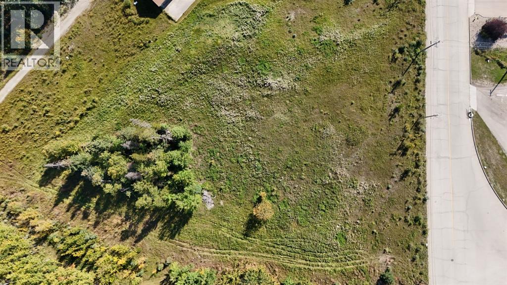 126 Felaber Road, Hinton, Alberta  T7V 1Z8 - Photo 2 - A2257601