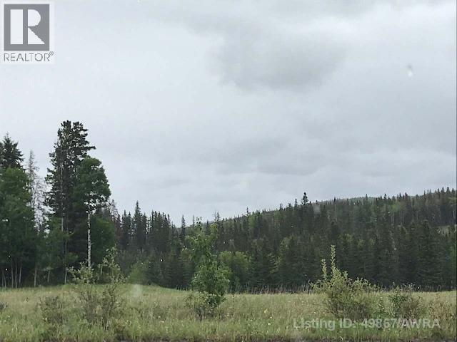 126 Felaber Road, Hinton, Alberta  T7V 1Z8 - Photo 4 - A2257601