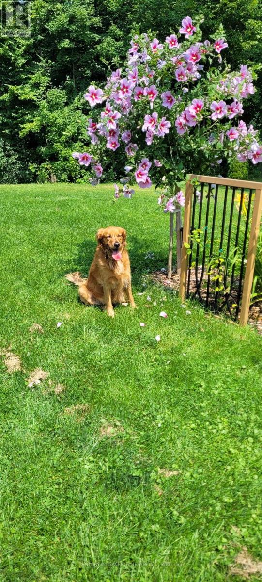 111 Facchin Drive, Beckwith, Ontario K7C 0G6 - Photo 48 - X12743690