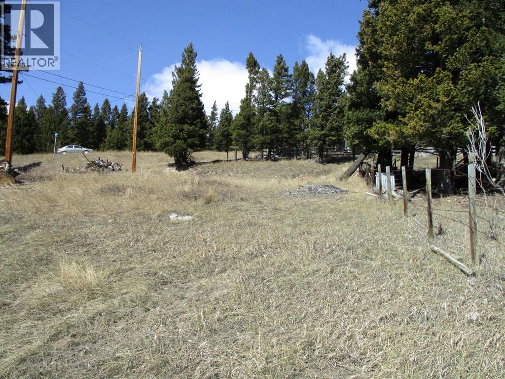 6502 24 Avenue, Coleman, Alberta  T0K 0M0 - Photo 3 - A2148304