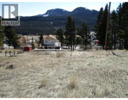 6502 24 Avenue, Coleman, Alberta