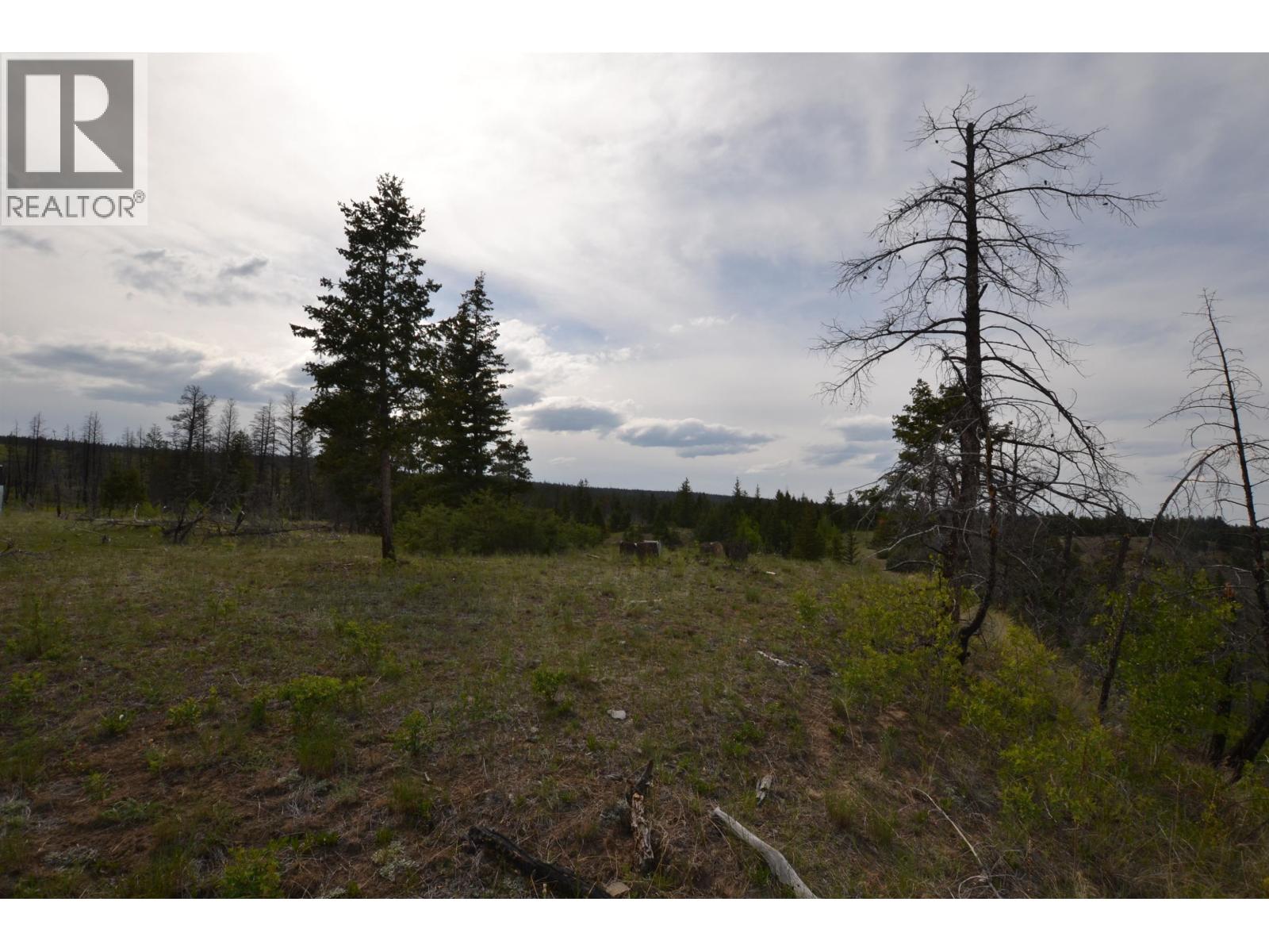 Chilco Ranch Road, Chilcotin, British Columbia  V0L 1A0 - Photo 3 - R3084954