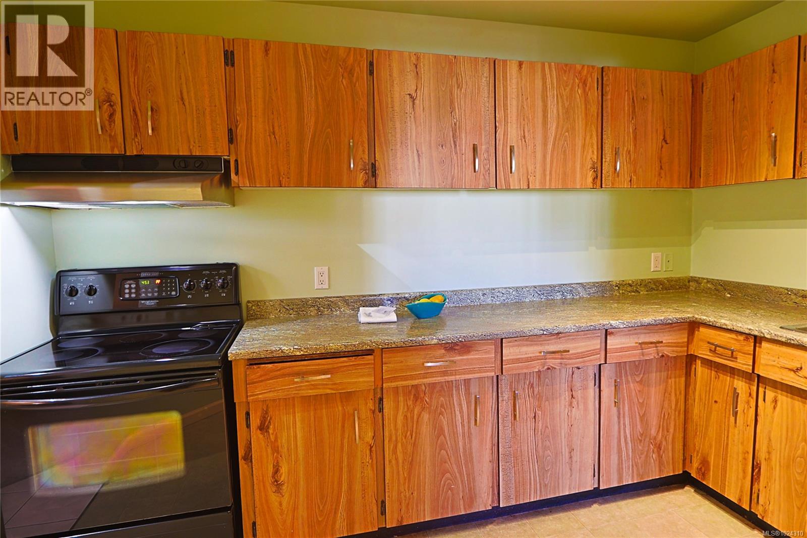 208 69 Gorge Rd W, Saanich, British Columbia V9A 1L9 - Photo 10 - 1024310