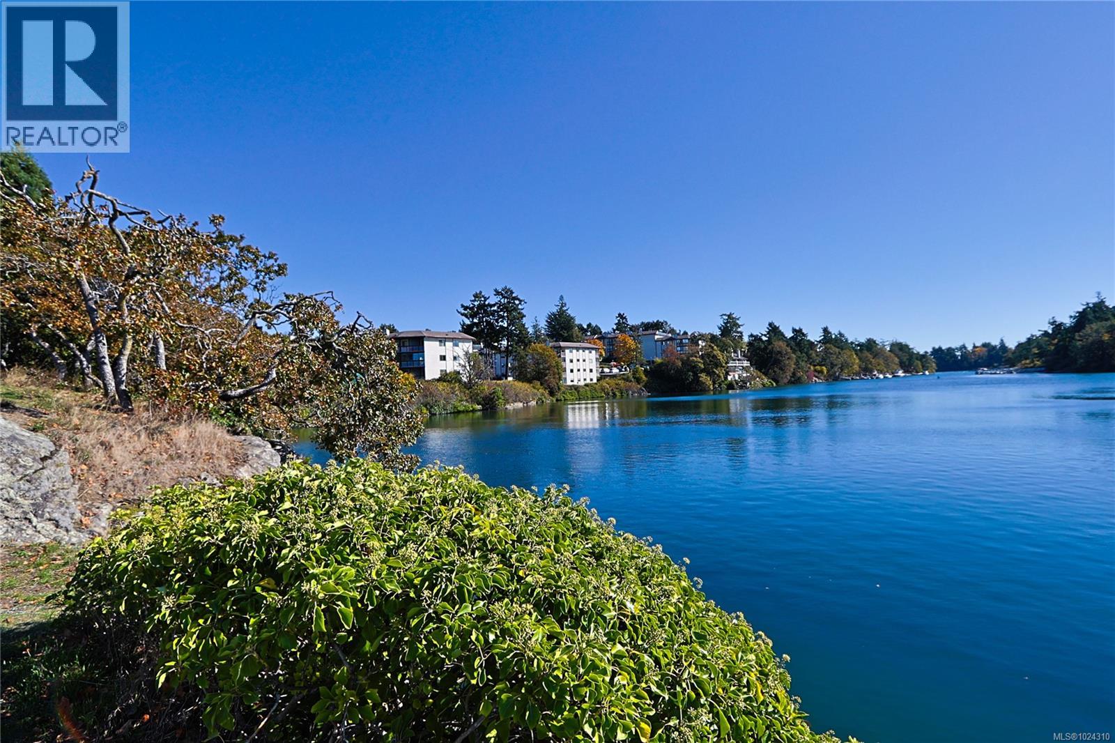 208 69 Gorge Rd W, Saanich, British Columbia