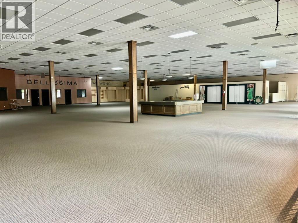 4840 50 Street, Camrose, Alberta  T4V 1P7 - Photo 5 - A2102774