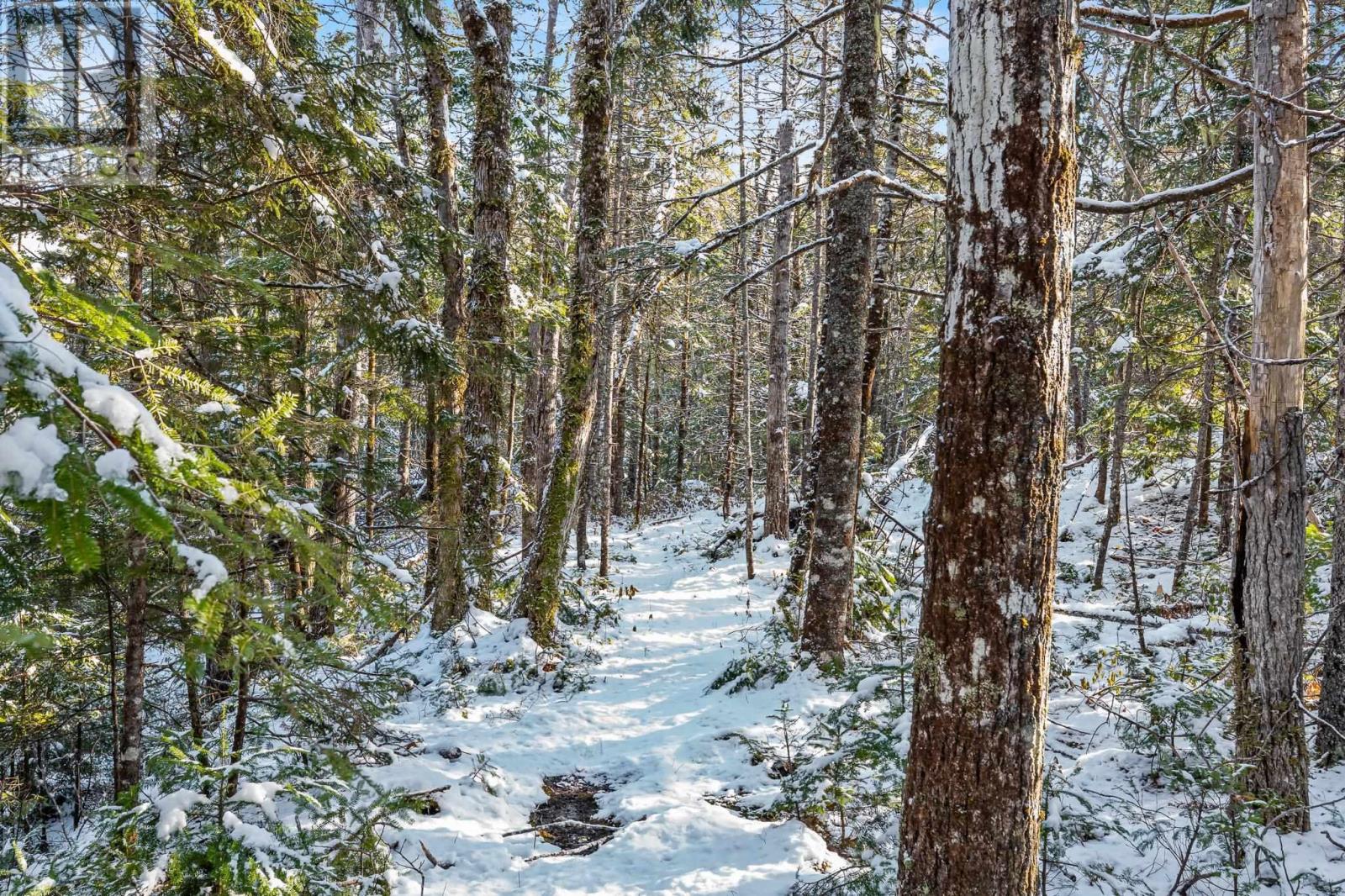 Lot 2 Stamping Mill Lane, Chester Basin, Nova Scotia  B0J 1K0 - Photo 12 - 202601671