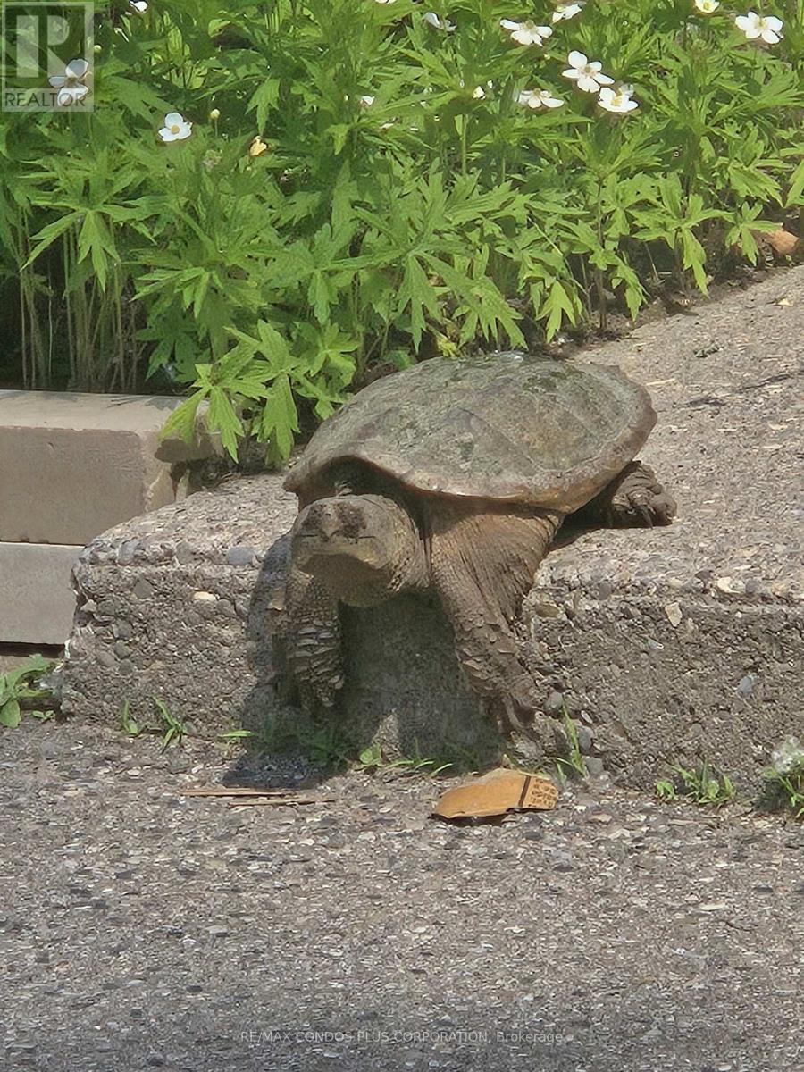 101 - 185 Stephen Drive W, Toronto, Ontario  M8Y 3N5 - Photo 48 - W12569032