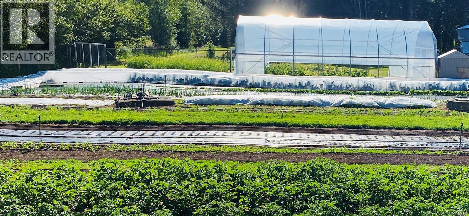 6499 Fitzgerald Rd, Merville, British Columbia  V9J 1M7 - Photo 9 - 1023819