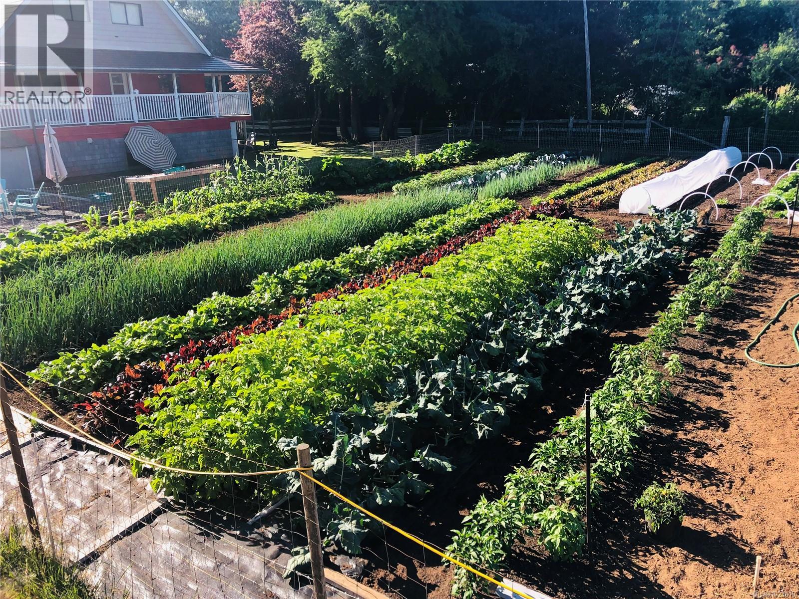 6499 Fitzgerald Rd, Merville, British Columbia  V9J 1M7 - Photo 7 - 1023819