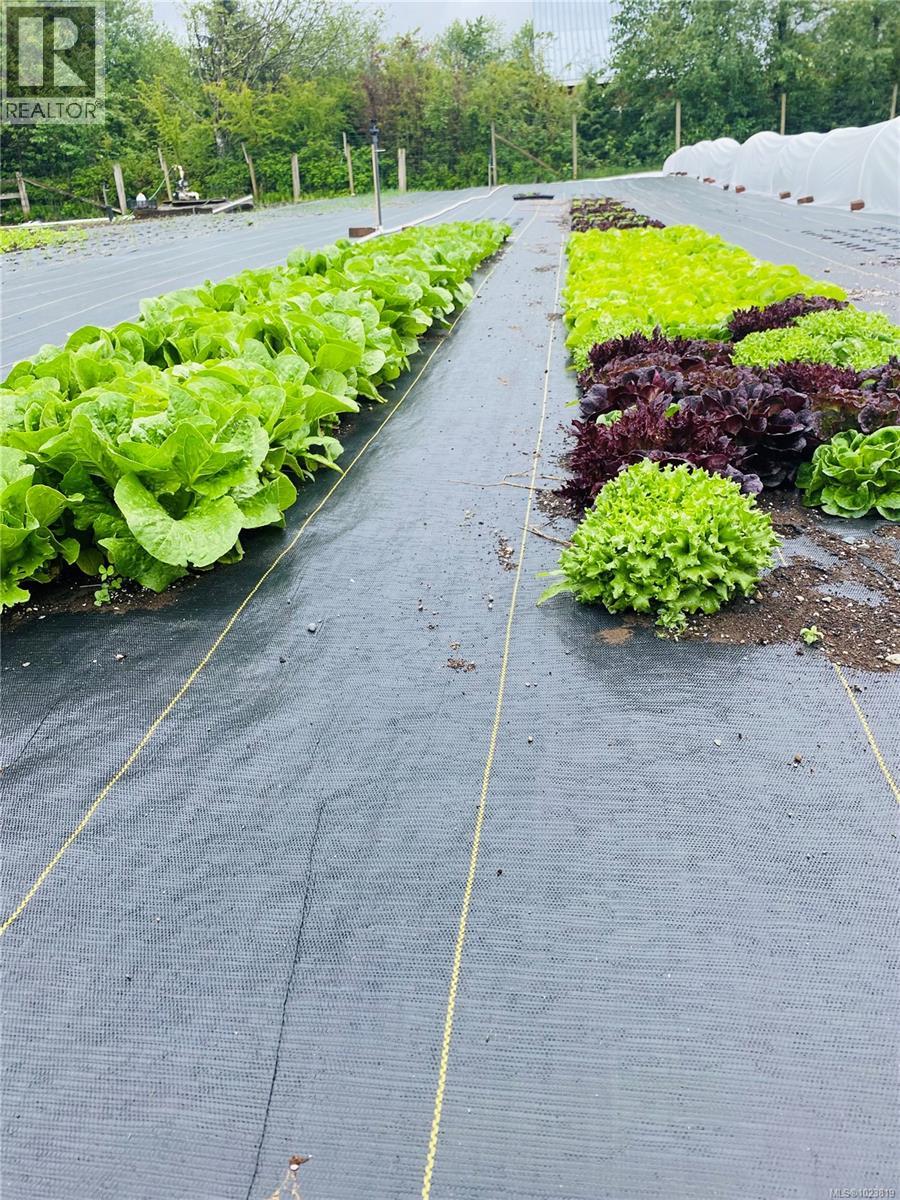 6499 Fitzgerald Rd, Merville, British Columbia  V9J 1M7 - Photo 83 - 1023819