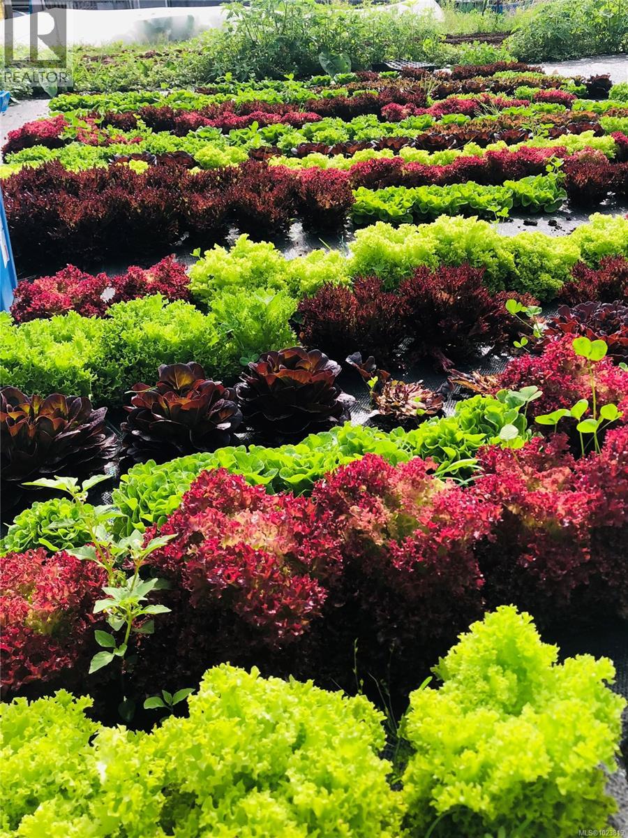 6499 Fitzgerald Rd, Merville, British Columbia  V9J 1M7 - Photo 85 - 1023819