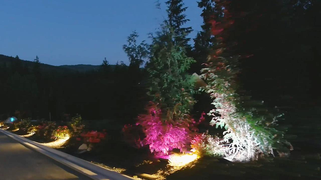 12041 Coughlin Court, Mission, British Columbia  V4S 1C3 - Photo 39 - R3085006