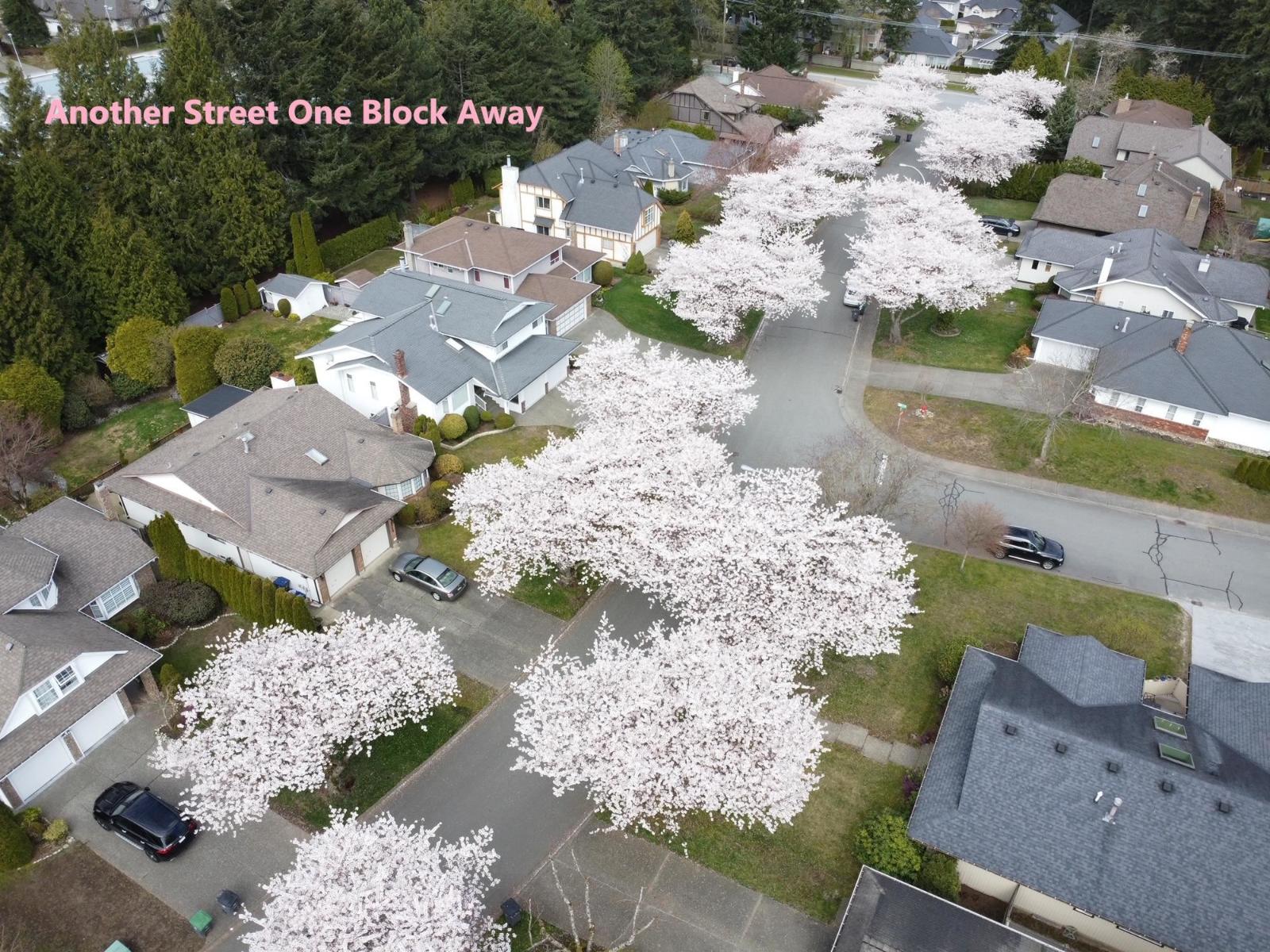 14897 22 Avenue, Surrey, British Columbia  V4A 9J2 - Photo 39 - R3082817