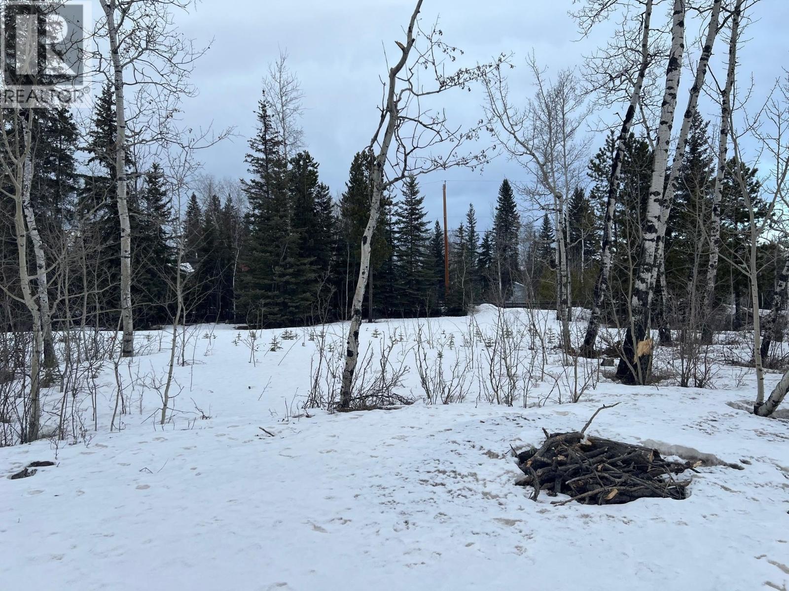 9001 Canyon Drive, Hudsons Hope, British Columbia  V0C 1V0 - Photo 5 - R3084635