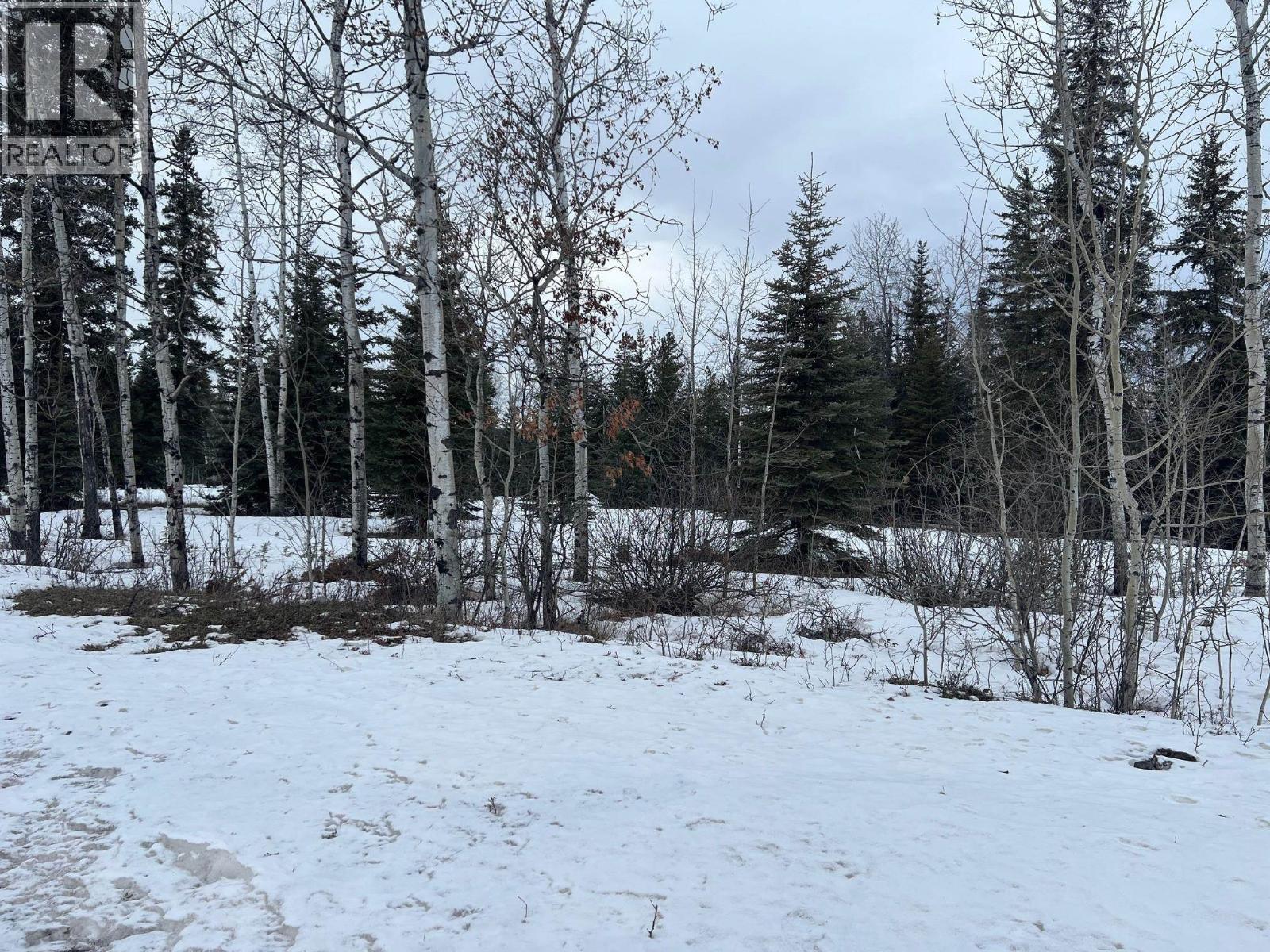 9001 Canyon Drive, Hudsons Hope, British Columbia  V0C 1V0 - Photo 3 - R3084635