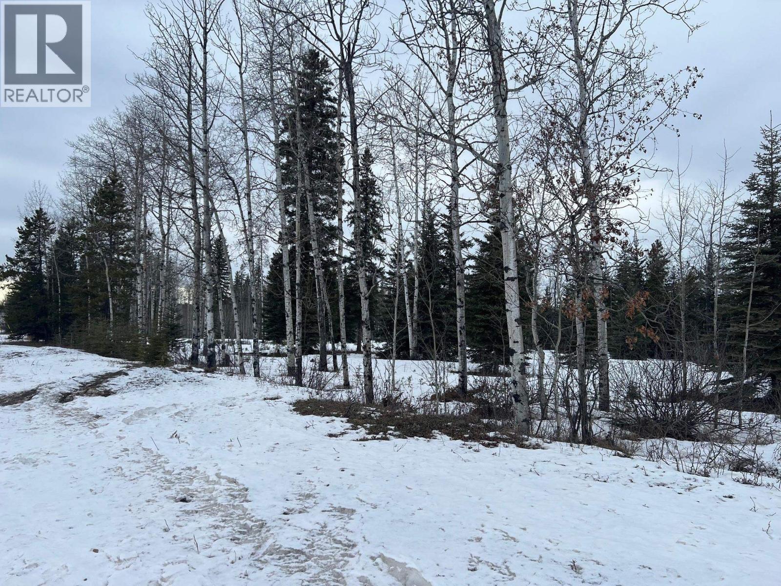 9001 Canyon Drive, Hudsons Hope, British Columbia  V0C 1V0 - Photo 2 - R3084635