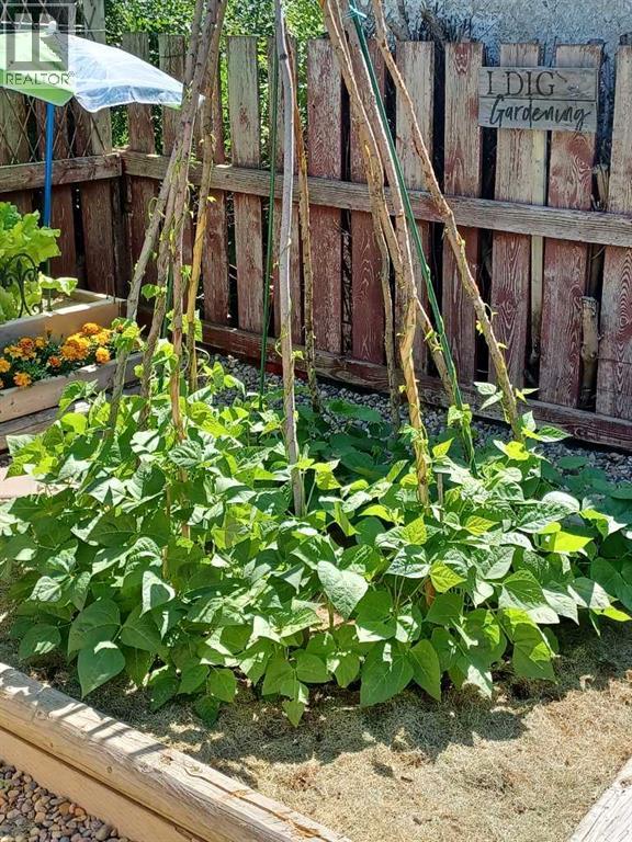 56 Greenbrook Village E, Brooks, Alberta  T1R 0R7 - Photo 30 - A2281966