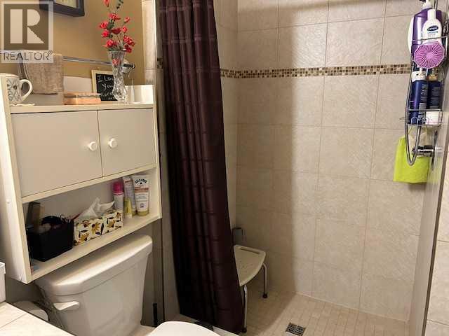 56 Greenbrook Village E, Brooks, Alberta  T1R 0R7 - Photo 20 - A2281966