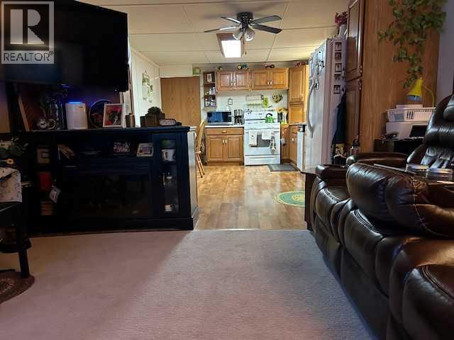 56 Greenbrook Village E, Brooks, Alberta  T1R 0R7 - Photo 12 - A2281966