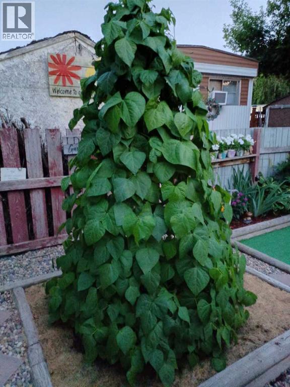 56 Greenbrook Village E, Brooks, Alberta  T1R 0R7 - Photo 32 - A2281966