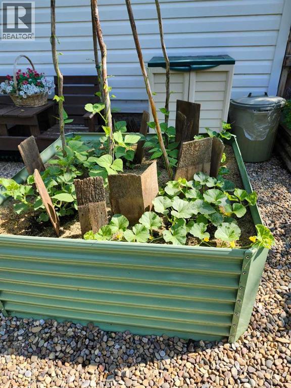 56 Greenbrook Village E, Brooks, Alberta  T1R 0R7 - Photo 33 - A2281966