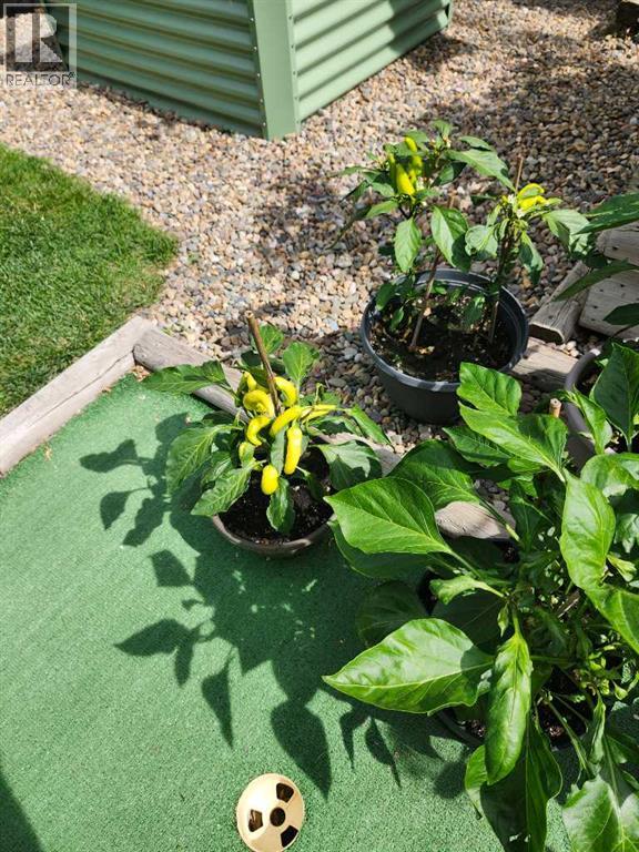 56 Greenbrook Village E, Brooks, Alberta  T1R 0R7 - Photo 40 - A2281966