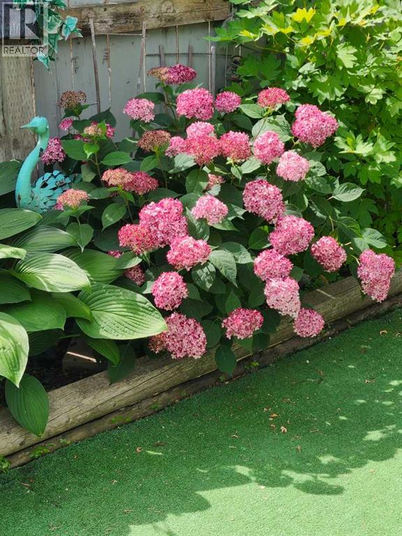 56 Greenbrook Village E, Brooks, Alberta  T1R 0R7 - Photo 41 - A2281966