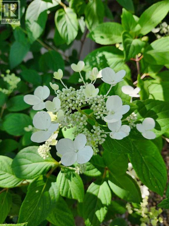 56 Greenbrook Village E, Brooks, Alberta  T1R 0R7 - Photo 36 - A2281966