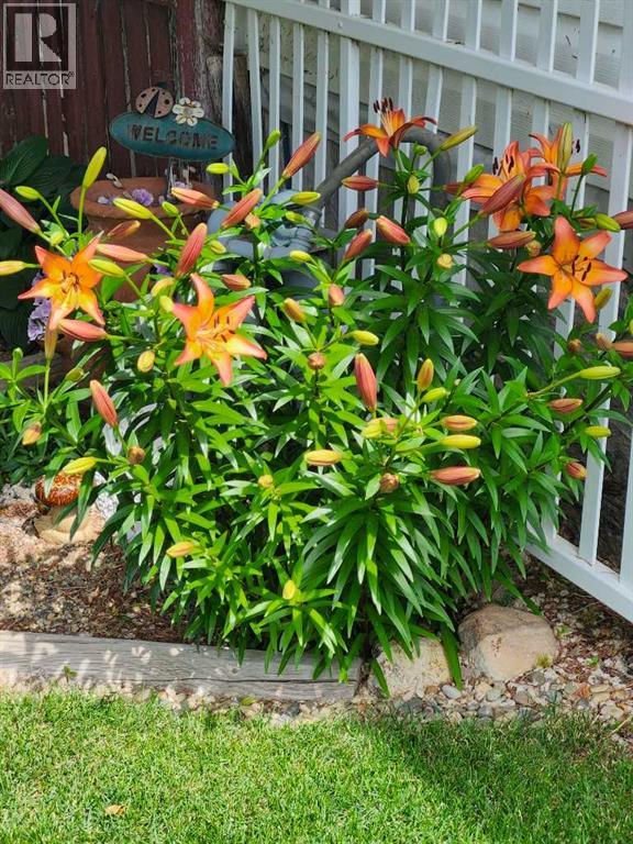 56 Greenbrook Village E, Brooks, Alberta  T1R 0R7 - Photo 42 - A2281966