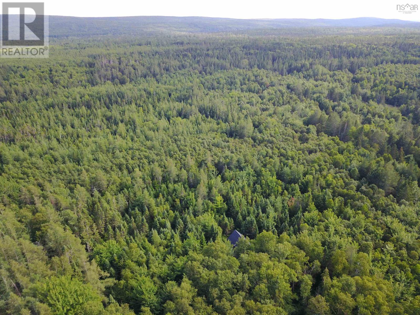 South Cove Road, South Cove, Nova Scotia  B0E 1T0 - Photo 11 - 202601813