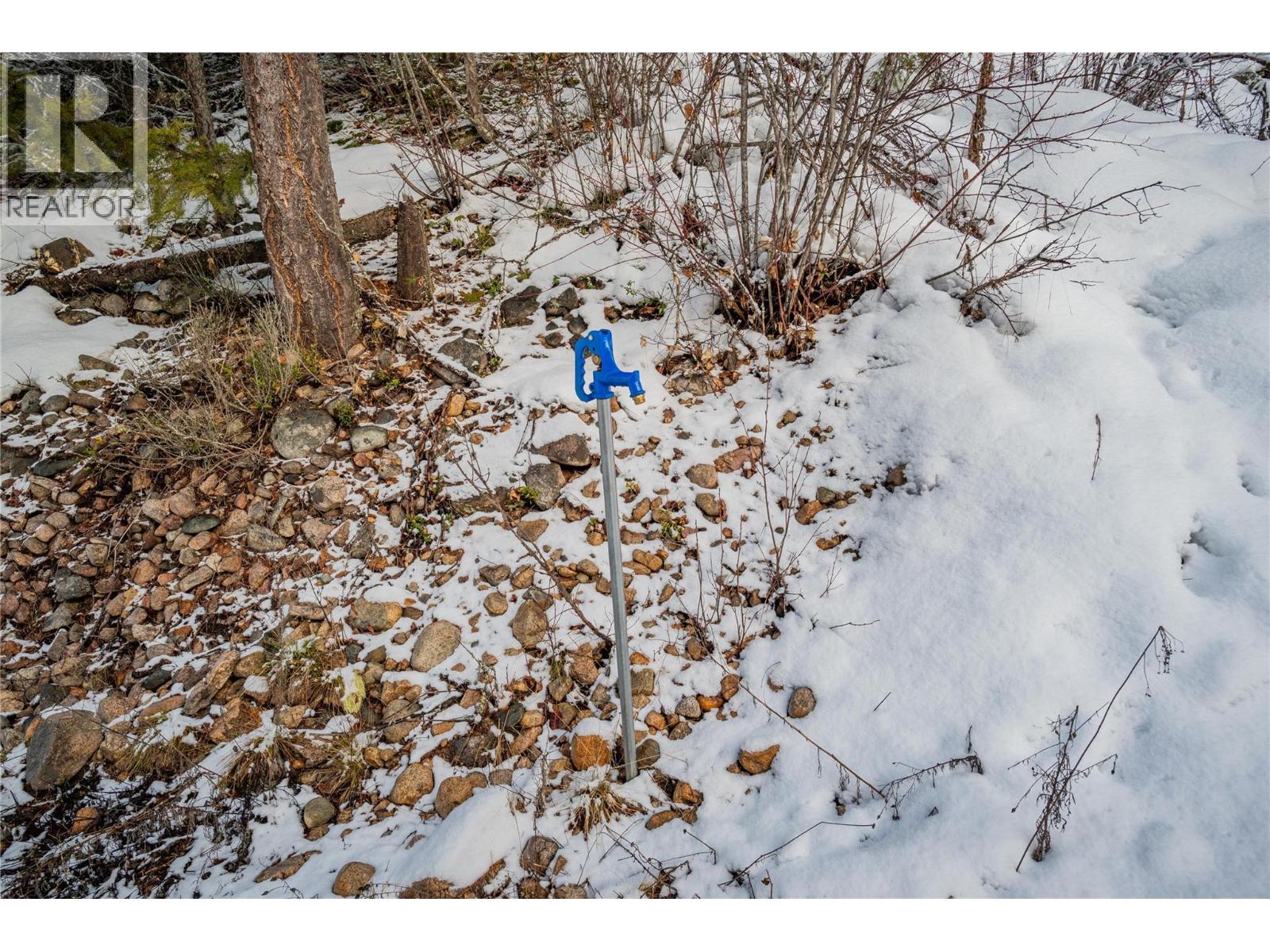 6061 & Lot 7 Forest Road, Winlaw, British Columbia V0G 2J0 - Photo 8 - 10374341