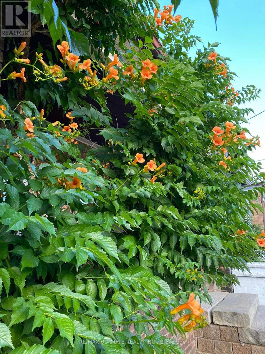 473 Jane Street, Toronto, Ontario  M6S 4A1 - Photo 28 - W12744204