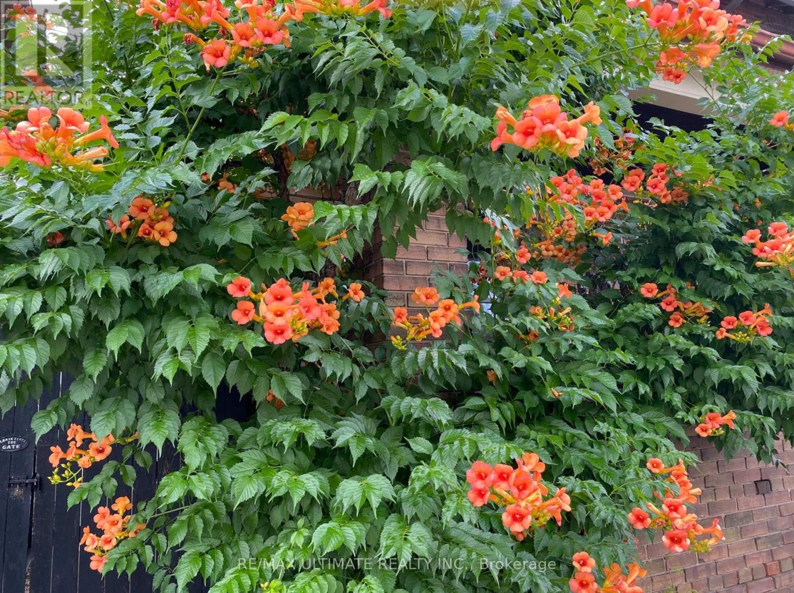 473 Jane Street, Toronto, Ontario  M6S 4A1 - Photo 29 - W12744204