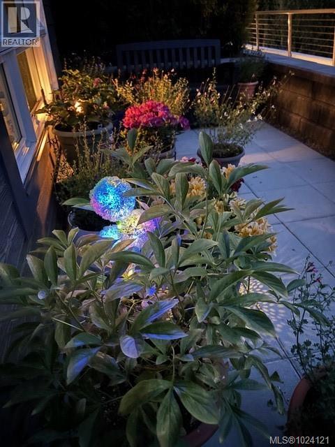 127 920 Reunion Ave, Langford, British Columbia  V9B 0W8 - Photo 73 - 1024121