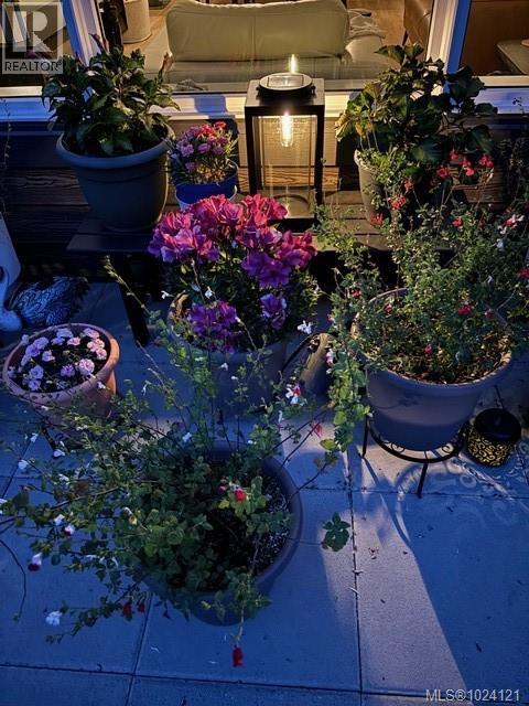 127 920 Reunion Ave, Langford, British Columbia  V9B 0W8 - Photo 74 - 1024121