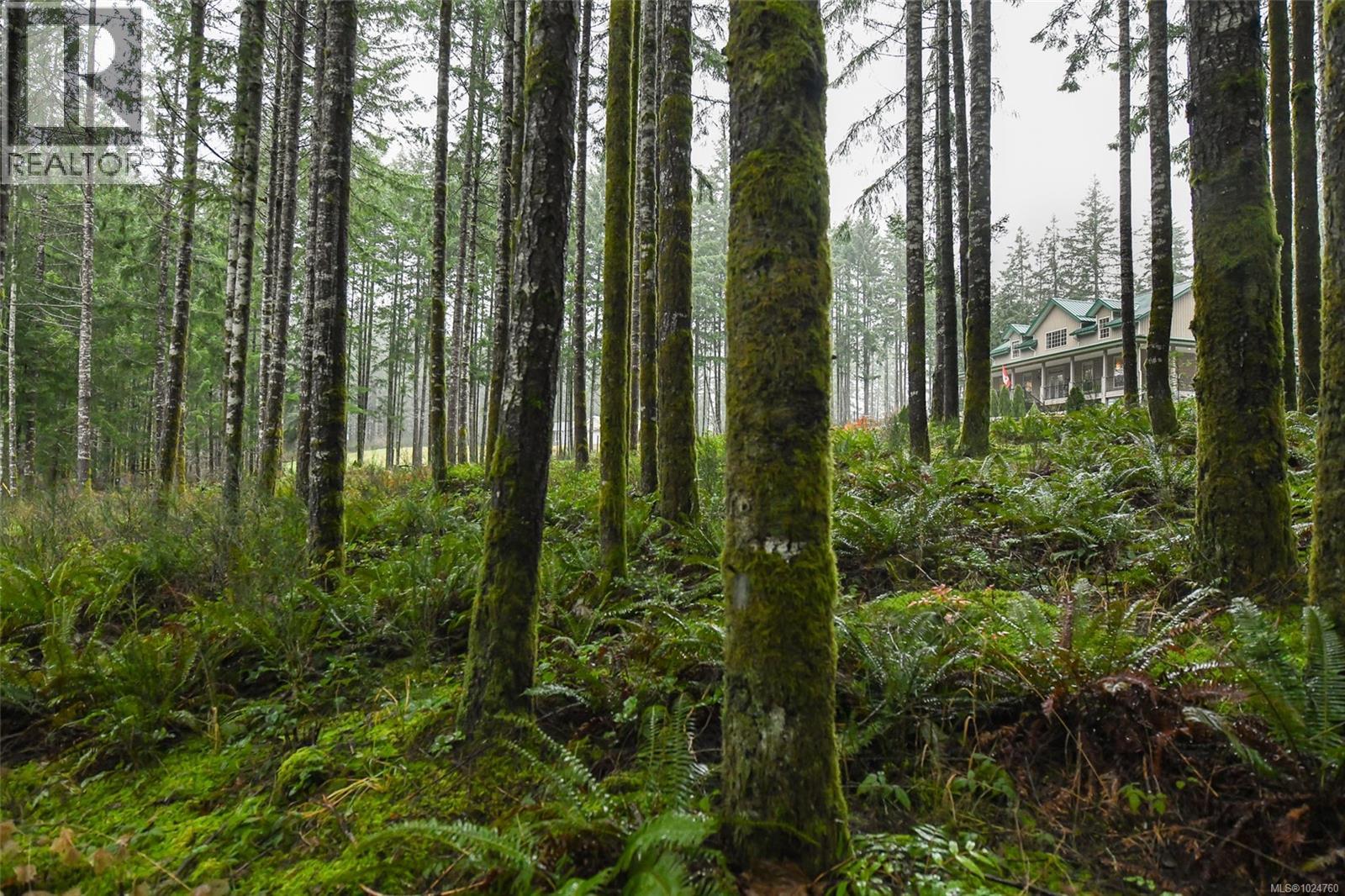 3997 Macaulay Rd, Black Creek, British Columbia  V9J 1C8 - Photo 23 - 1024760