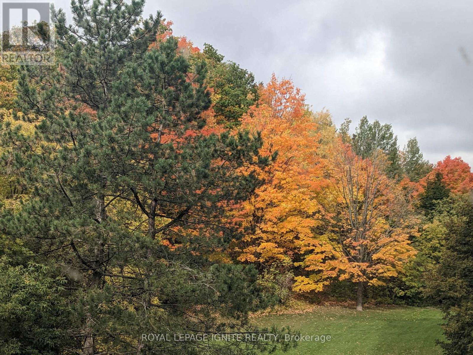 312 - 3050 Ellesmere Road, Toronto, Ontario  M1E 5E6 - Photo 29 - E12744462