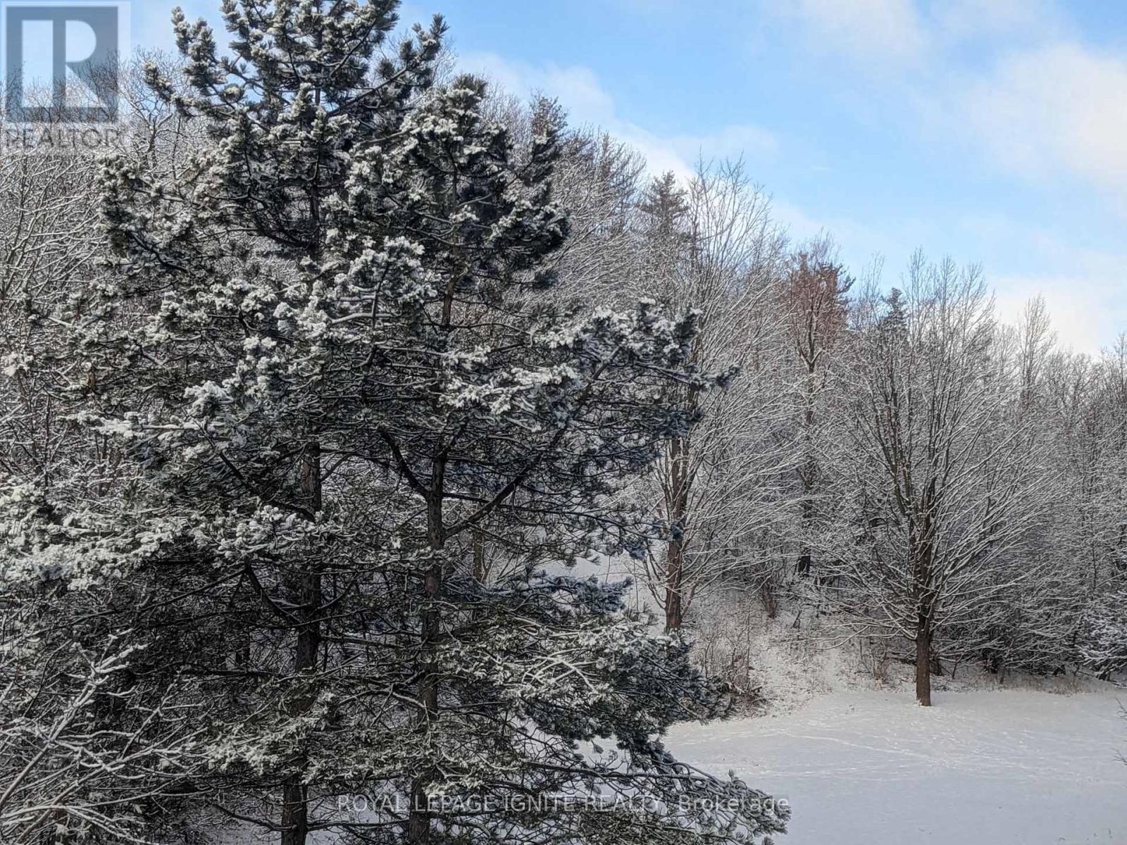 312 - 3050 Ellesmere Road, Toronto, Ontario  M1E 5E6 - Photo 30 - E12744462