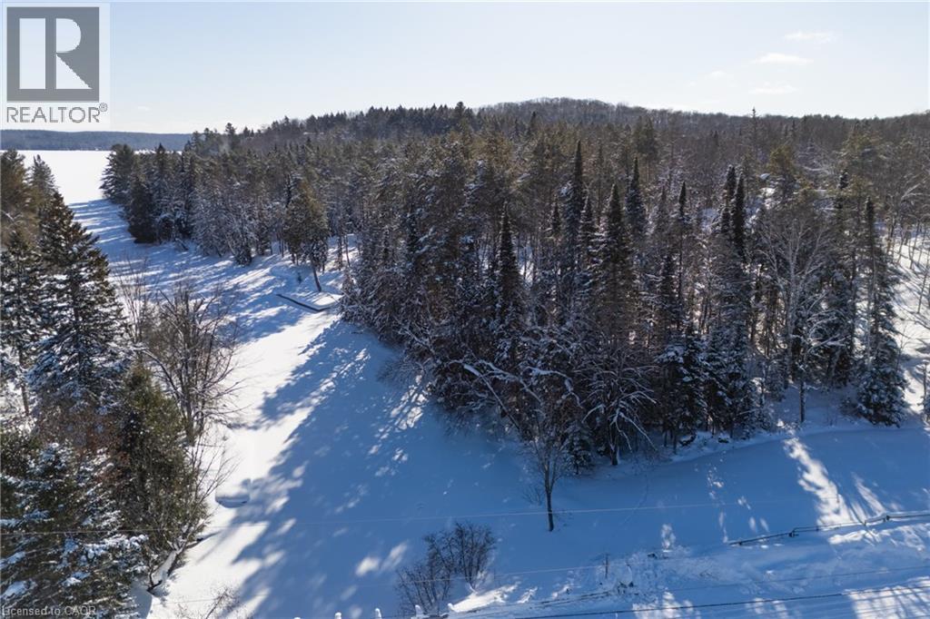 469 Rowanwood Road, Huntsville, Ontario  P0B 1M0 - Photo 37 - 40800003