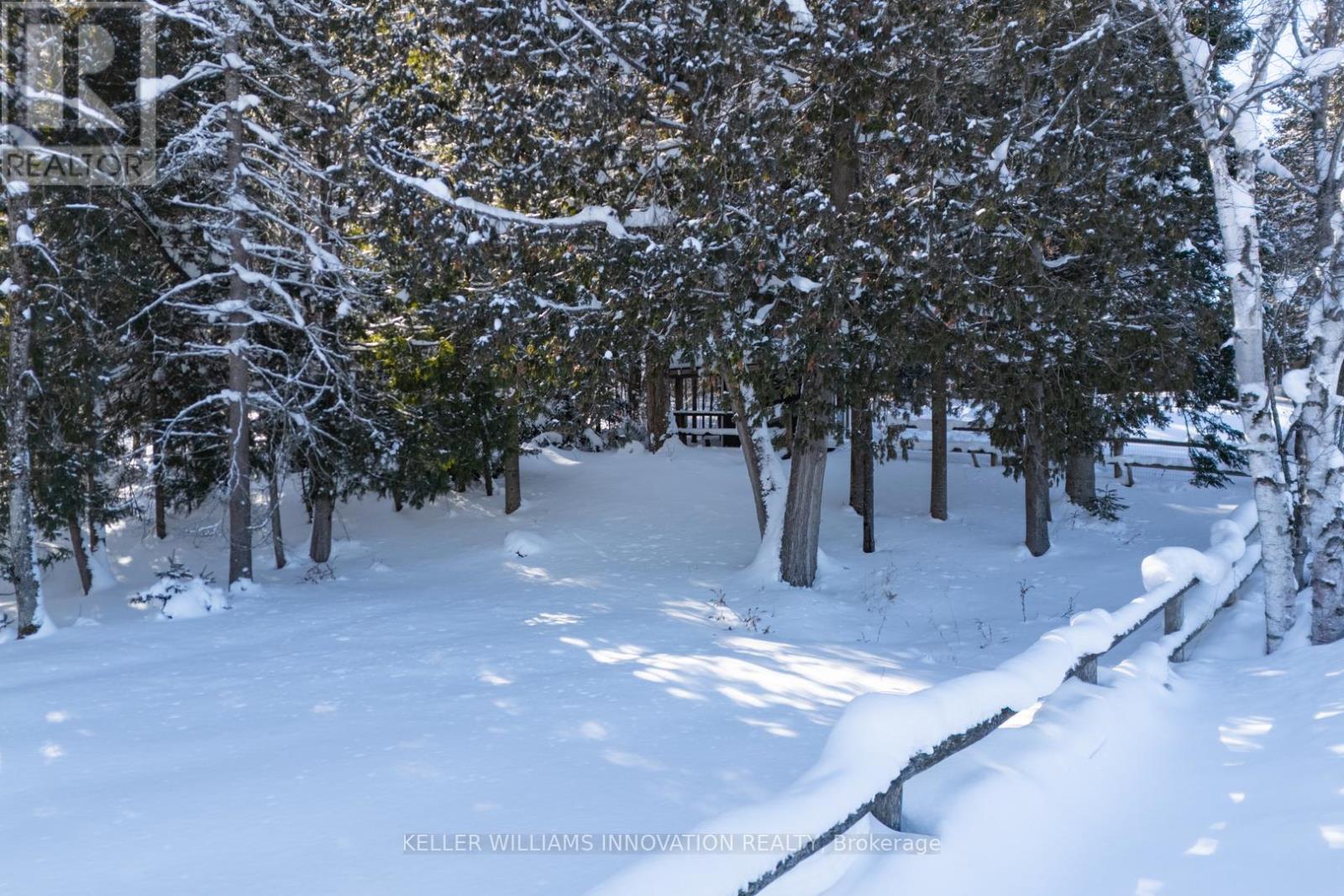 469 Rowanwood Road, Huntsville, Ontario  P0B 1M0 - Photo 32 - X12744528