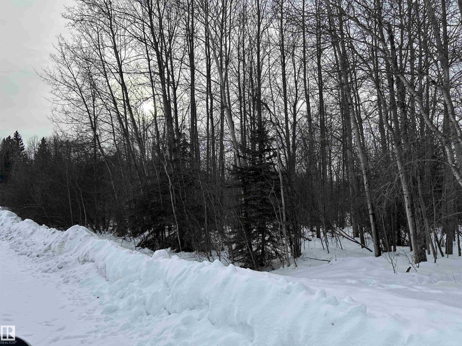 4 59011 Rge Rd 232, Rural Thorhild County, Alberta